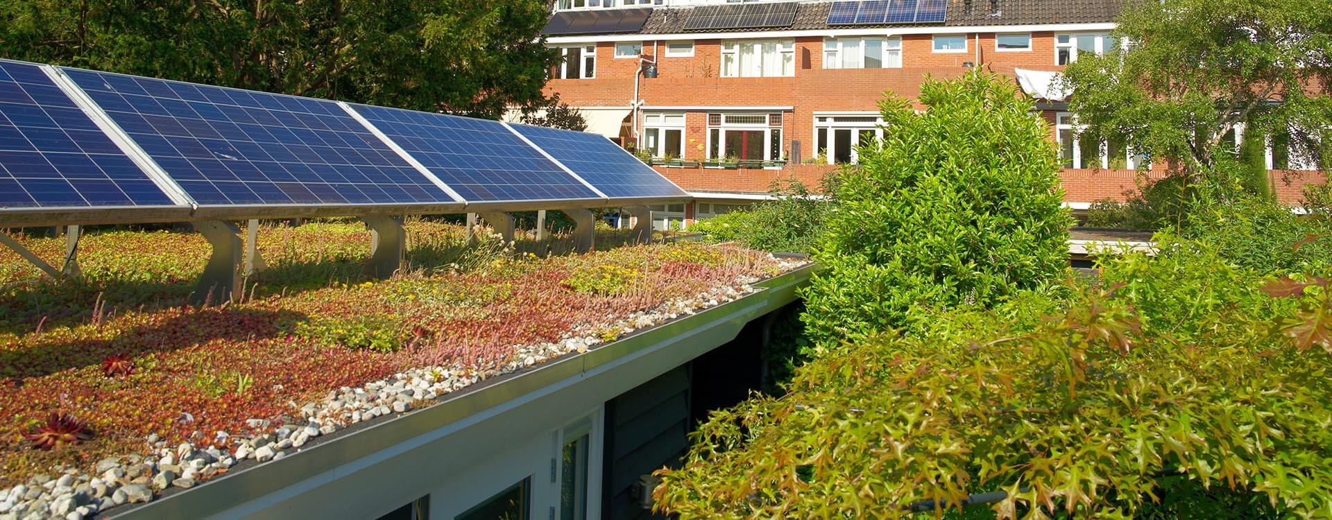 Photo of an IKO Elements bio solar roofing system demonstrating sustainability in construction