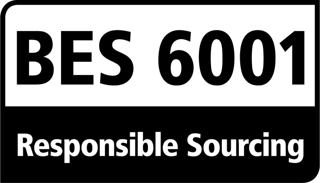 BES 6001 logo