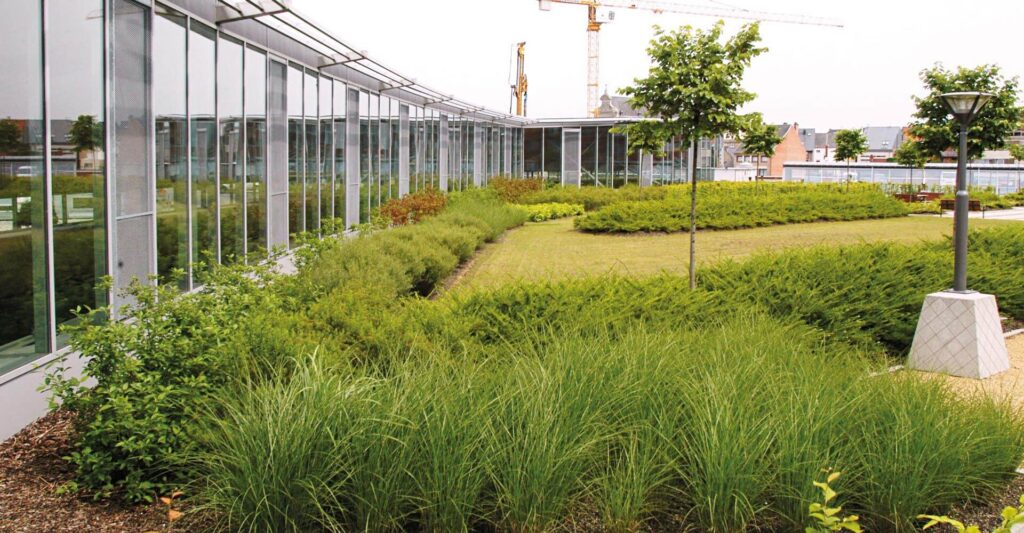 Photo of an IKO green roof system featured in the World Green Roof Day 2026 blog