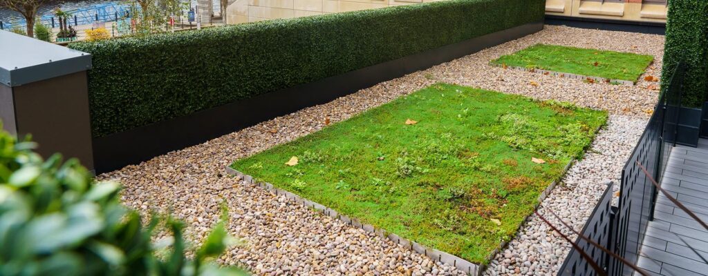 Photo of an IKO green roof system featured in the World Green Roof Day 2026 blog